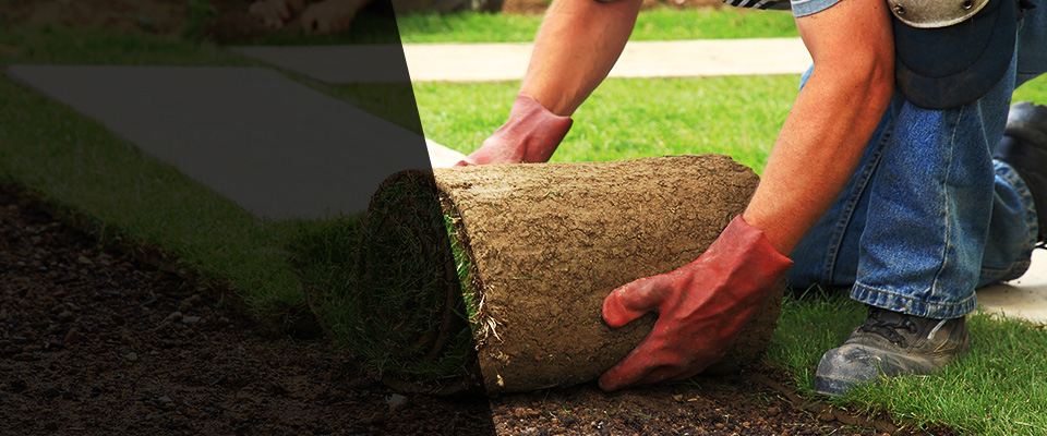 Fort Oglethorpe Landscapers